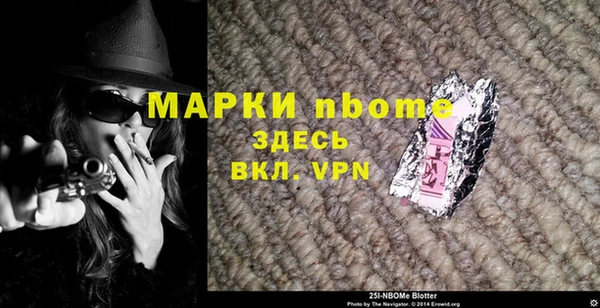 хмурый Алексин
