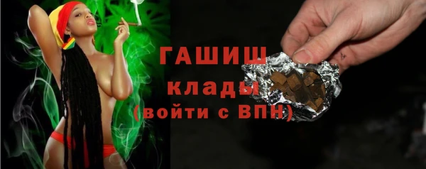 хмурый Алексин